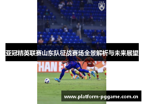 亚冠精英联赛山东队征战赛场全景解析与未来展望