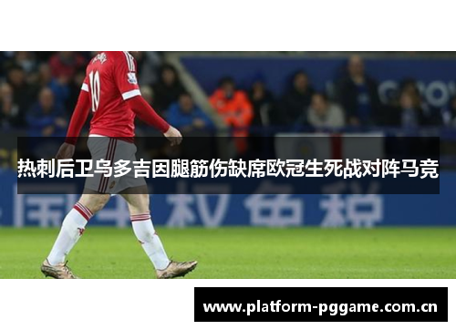 热刺后卫乌多吉因腿筋伤缺席欧冠生死战对阵马竞 热刺后卫乌多吉因腿筋伤缺席欧冠生死战对阵马竞